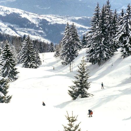 Ayent Woodland Village Anzere المظهر الخارجي الصورة